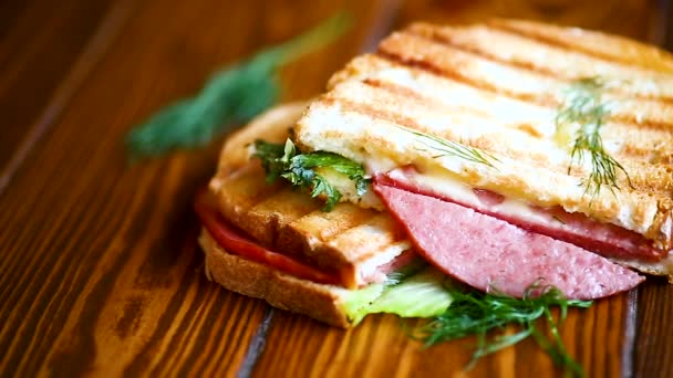 Panino con insalata fresca e verdure e salsiccia — Video Stock