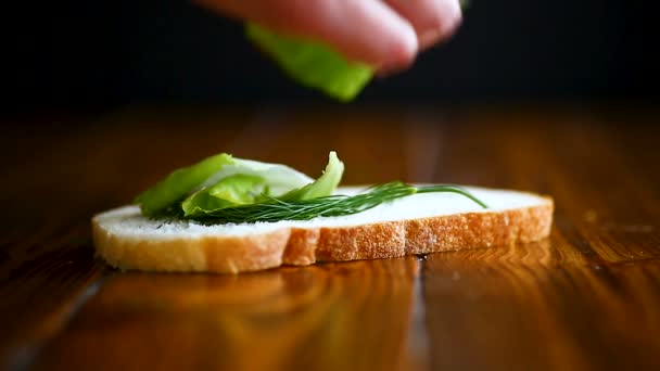 Smörgås med fräsch sallad och gröna och korv — Stockvideo