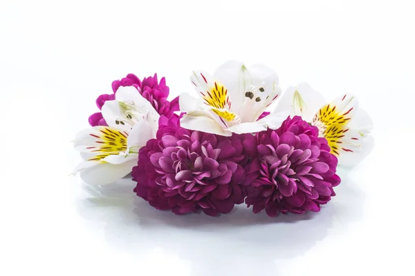 Bouquet of beautiful chrysanthemums and lysianthus — Stock Photo, Image
