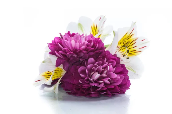 Boeket van mooie chrysanten en lysianthus — Stockfoto