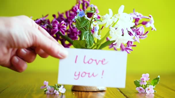 Beautiful bouquet of early spring flowers — Stock Video