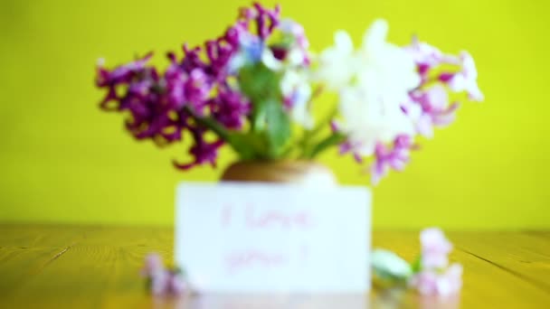 美丽的早春花朵花束 — 图库视频影像