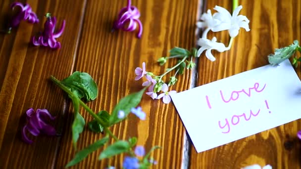 Bellissimo bouquet di fiori all'inizio della primavera — Video Stock