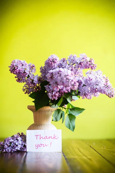 Gren av blommande våren lila — Stockfoto