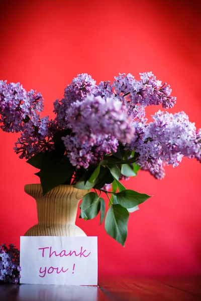 Gren av blommande våren lila — Stockfoto