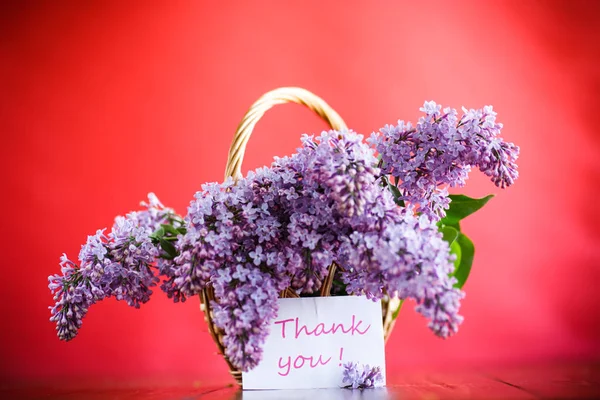 Branch of blossoming spring lilac — Stock Photo, Image