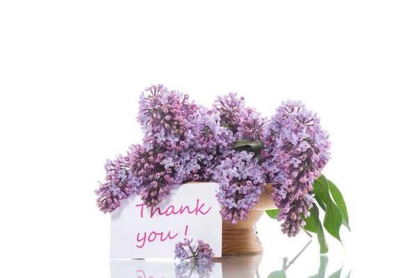 Branch of blossoming spring lilac — Stock Photo, Image