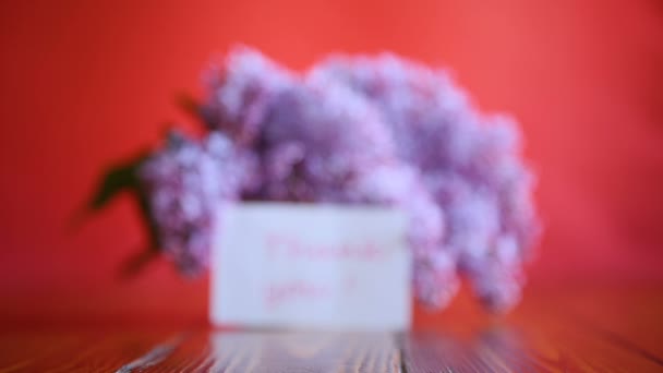 Branche de lilas printemps floraison — Video