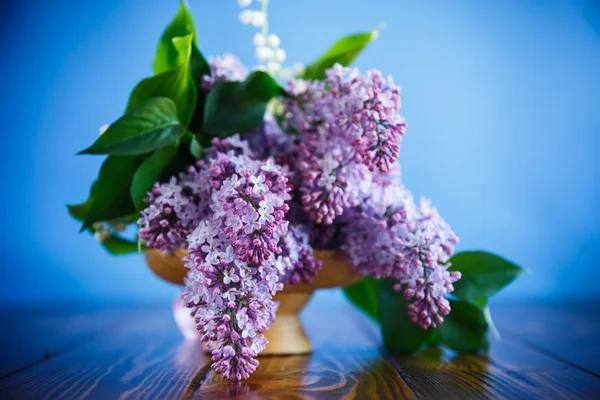 Ramo di lilla primaverile fiorente — Foto Stock