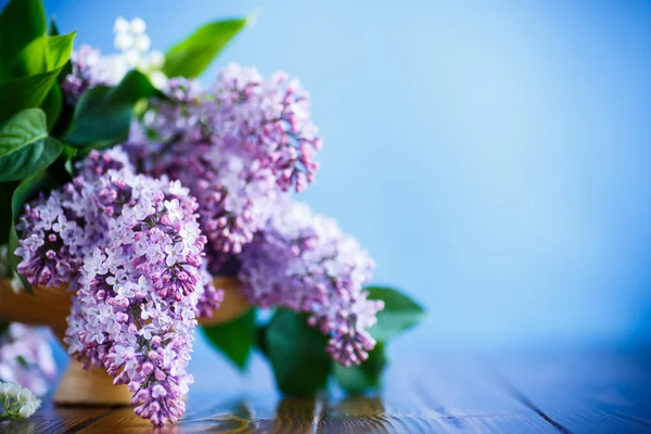 Ramo de lilás de primavera florescente — Fotografia de Stock