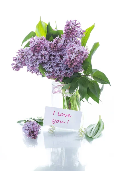 Branch of blossoming spring lilac — Stock Photo, Image