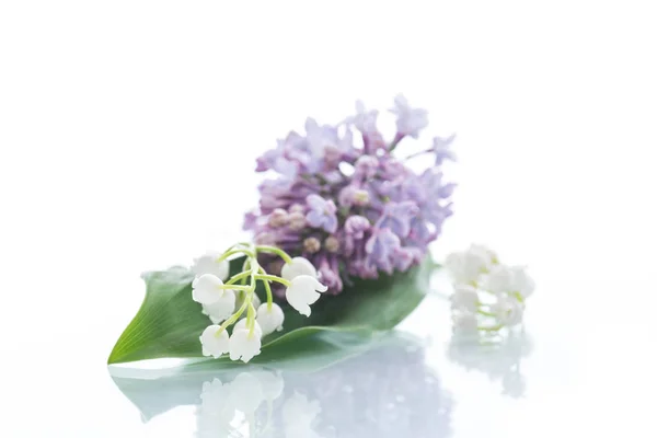 Branch of blossoming spring lilac — Stock Photo, Image