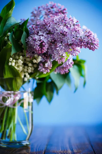 Gren av blommande våren lila — Stockfoto