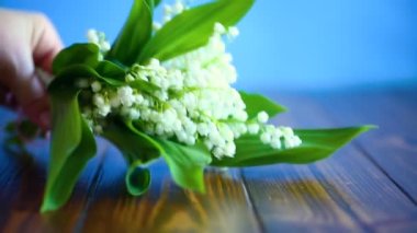 Güzel bahar çiçekleri lily vadi