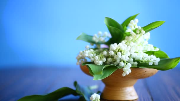 Schöne Frühlingsblumen Maiglöckchen — Stockvideo