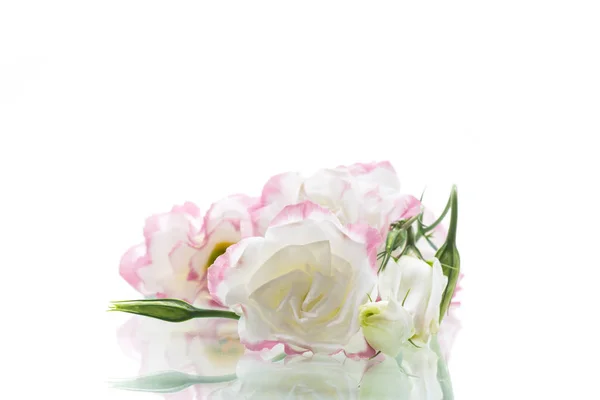 Gyönyörű rózsaszín Lisianthus virágok elszigetelt fehér — Stock Fotó
