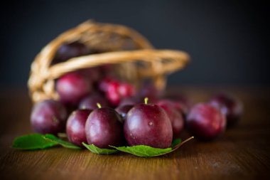 Organik kırmızı olgun kiraz siyah üzerinde izole