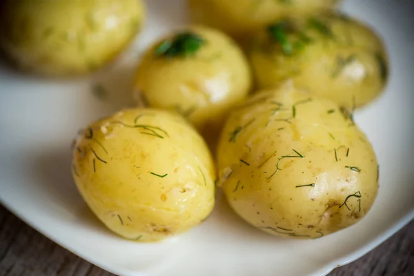 Варена молода картопля з маслом і кропом в тарілці — стокове фото