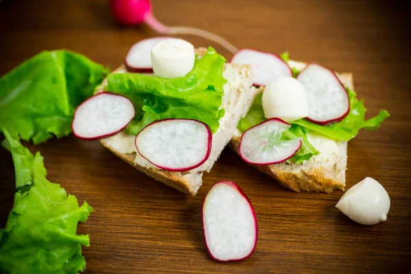 Sajtos szendvicsek, fejes saláta és piros retek fa — Stock Fotó