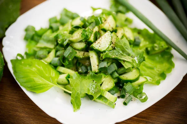 Salade fraîche de concombres et de légumes dans une assiette sur un bois — Photo