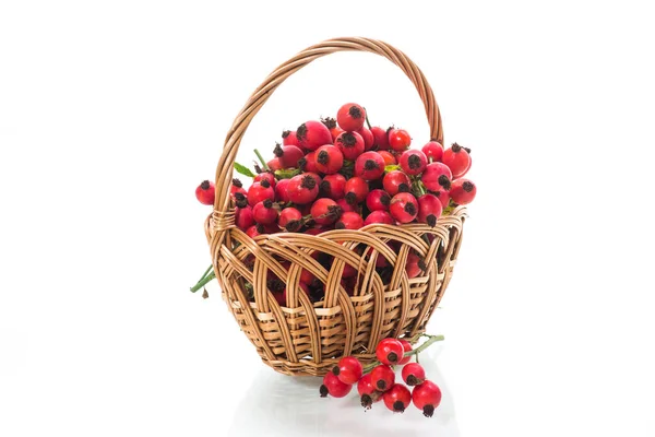 Ripe red dogrose in a basket isolated on white — Stock Photo, Image