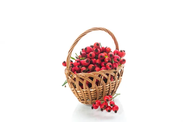 Reife rote Heckenrose in einem Korb isoliert auf weiß — Stockfoto