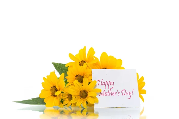 Bouquet of beautiful blooming yellow daisies isolated on white — Stock Photo, Image