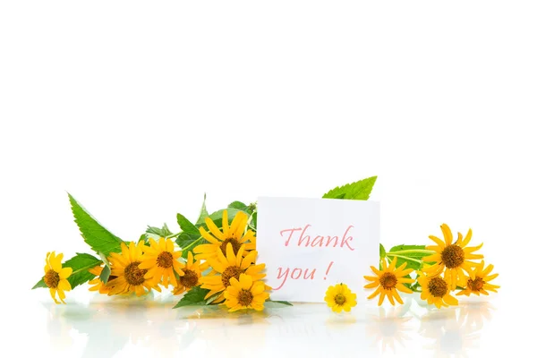 Bouquet of yellow big daisies on a white — Stock Photo, Image