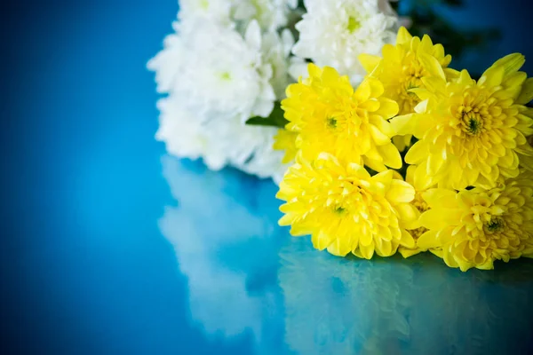 Ramo de crisantemos blancos con una tarjeta de felicitación para mamá —  Fotos de Stock