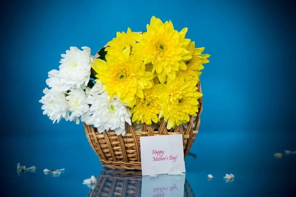 Boeket van witte chrysanten met een wenskaart voor mama — Stockfoto