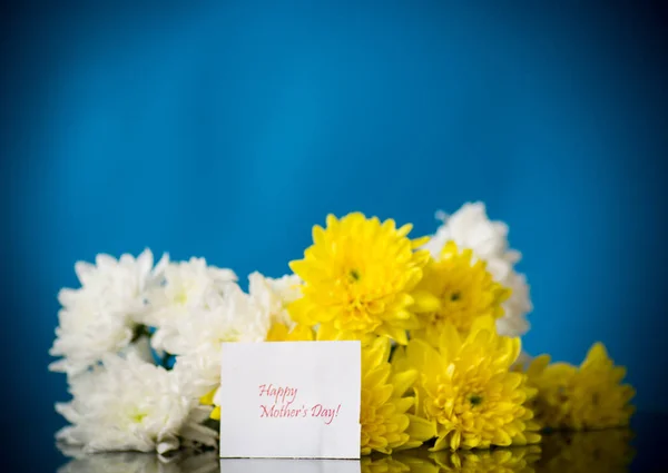 Ramo de crisantemos blancos con una tarjeta de felicitación para mamá — Foto de Stock