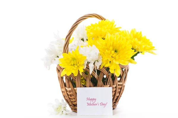 白に隔離された黄色と白の菊の花束 — ストック写真