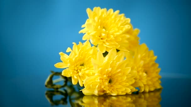 Ramo Crisantemos Blancos Con Una Tarjeta Felicitación Para Mamá Sobre — Vídeos de Stock