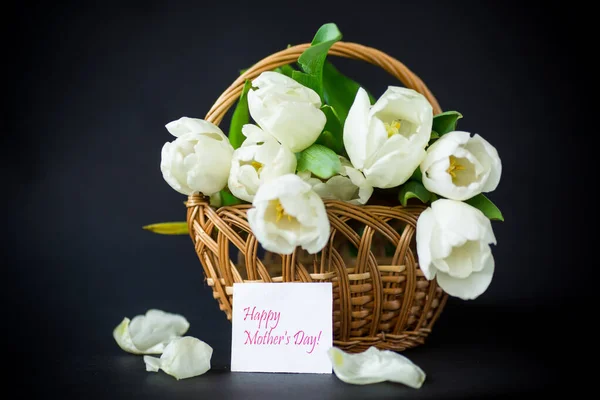 Beau Bouquet Tulipes Blanches Isolées Sur Fond Noir — Photo