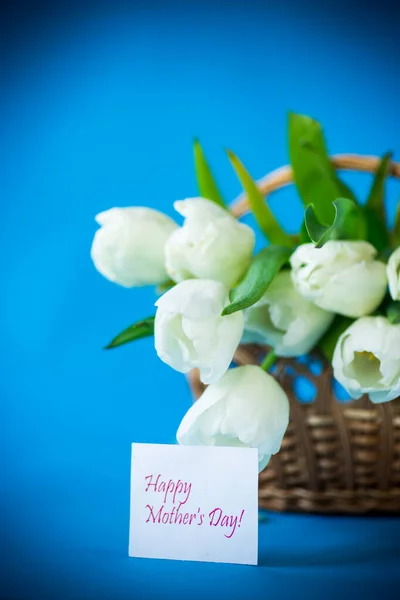 Hermoso Ramo Tulipanes Blancos Aislados Sobre Fondo Azul — Foto de Stock
