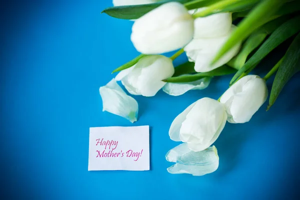 Mooi Boeket Van Witte Tulpen Geïsoleerd Blauwe Achtergrond — Stockfoto