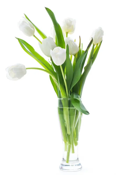 Bellissimo Bouquet Tulipani Bianchi Isolati Sfondo Bianco — Foto Stock