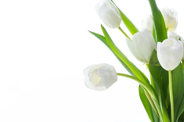 Schöner Strauß Weißer Tulpen Isoliert Auf Weißem Hintergrund — Stockfoto