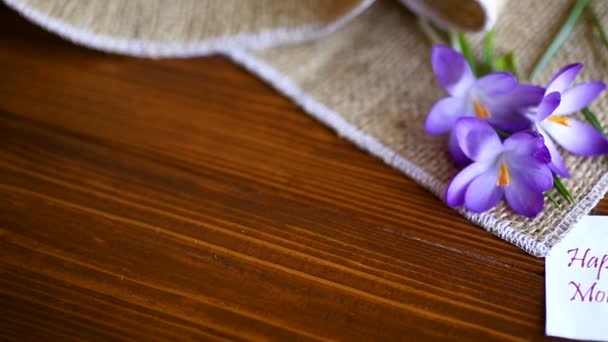 Primavera roxo flores de croco em uma mesa de madeira — Vídeo de Stock