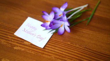 Tahta bir masada bahar mor çiçekleri.