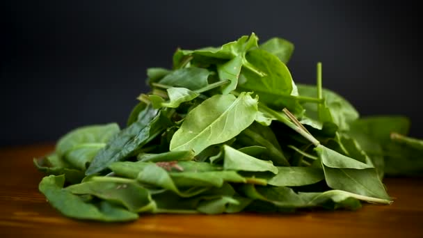 Fresh cut organic sorrel leaves on a wooden table — Stock Footage Fresh Cut Organic Sorrel Leaves Wooden Table Royalty Free Stock Footage