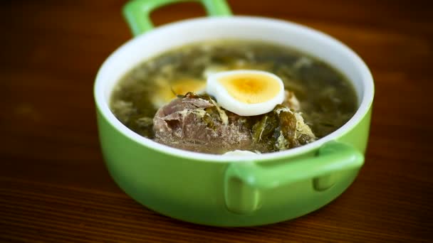 Sopa orgánica de primavera fresca con acedera verde y huevo en un plato — Vídeo de stock