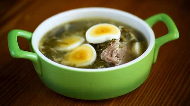 Sopa orgánica de primavera fresca con acedera verde y huevo en un plato — Vídeo de stock