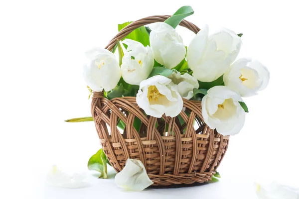 Mooi Boeket Van Witte Tulpen Geïsoleerd Witte Achtergrond — Stockfoto