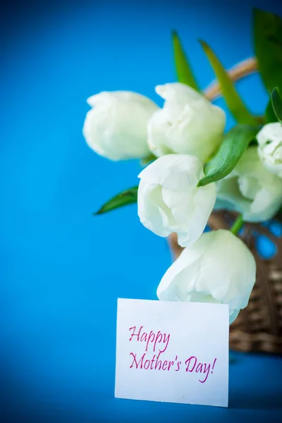 Красивый Букет Белых Тюльпанов Голубом Фоне — стоковое фото