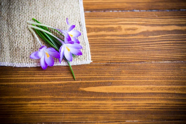 Primavera Púrpura Pequeñas Flores Cocodrilo Una Mesa Madera — Foto de Stock