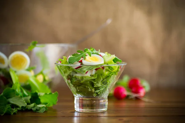 Bahar salatası roka, haşlanmış yumurta, taze turp, cam kasede salata yaprakları. — Stok fotoğraf