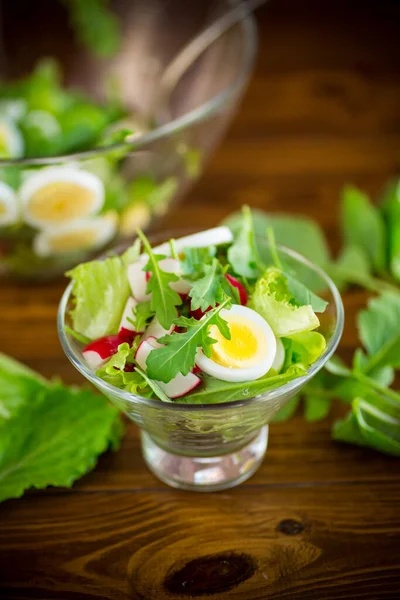 Tavaszi saláta arugulával, főtt tojás, friss retek, salátalevelek üvegtálban — Stock Fotó