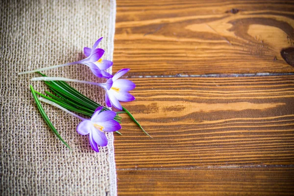 Frühling Lila Kleine Krokusblüten Auf Einem Holztisch — Stockfoto