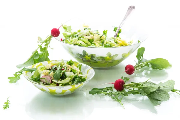 初期の野菜 レタスの葉 ハーブの春のサラダを白い背景に隔離されたプレートで — ストック写真